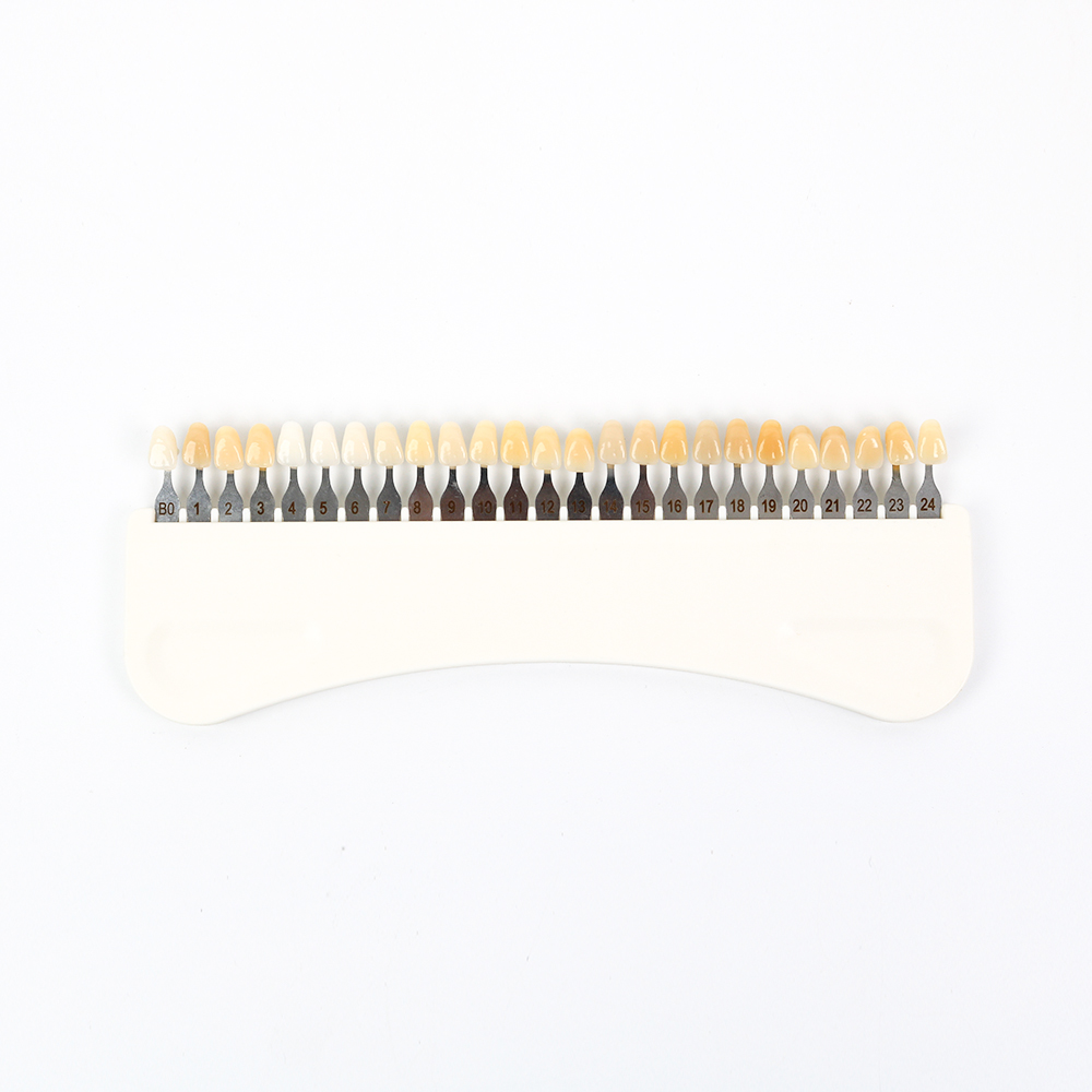 3D 치아 미백 색상 가이드 25가지 색상 도자기 치아 - Teeth Whitening/Bleaching 리뷰 및 가격