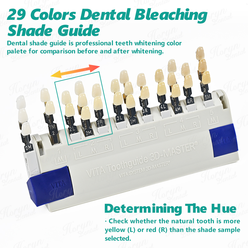 비타 3D 마스터 치과 연구소 표백 색상 가이드 29가 - Teeth Whitening/Bleaching 리뷰 및 가격