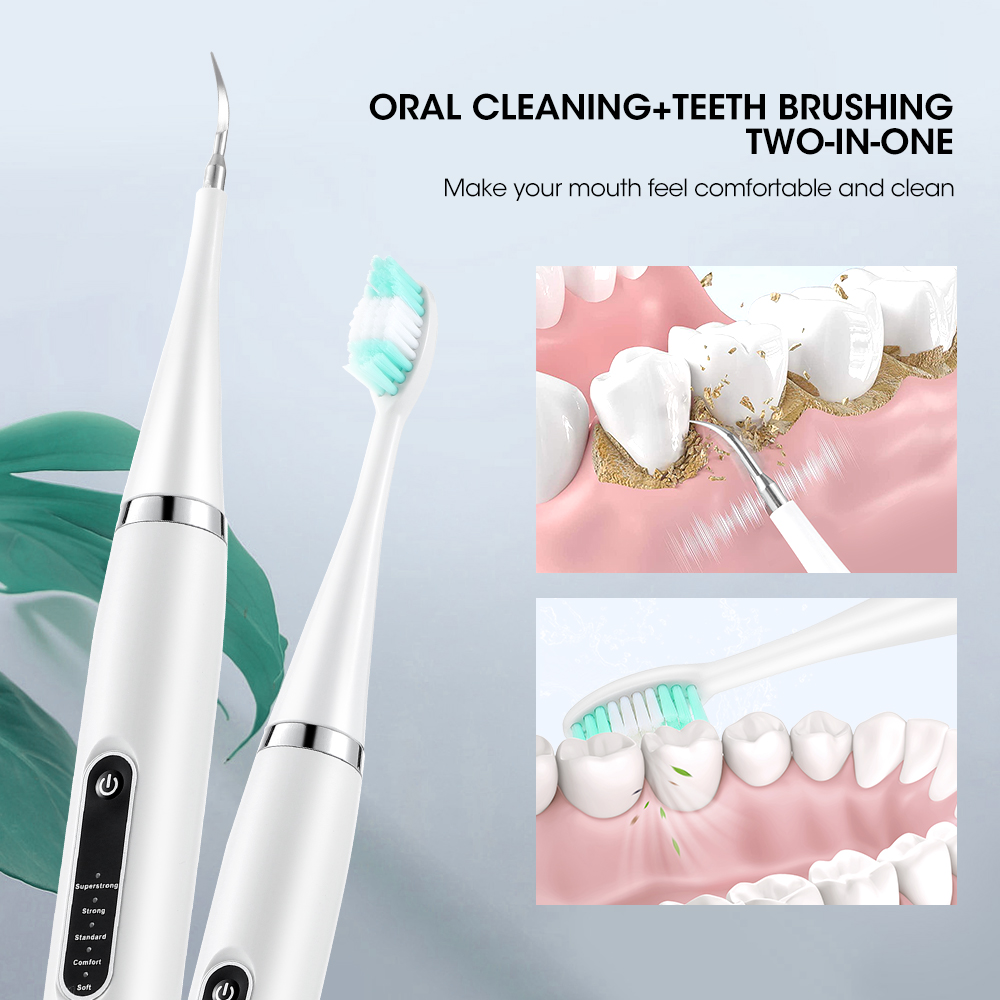 전기 치아 클리너 소닉 치과 스케일러, 치석 플라크 얼 - Teeth Whitening Usa 리뷰 및 가격